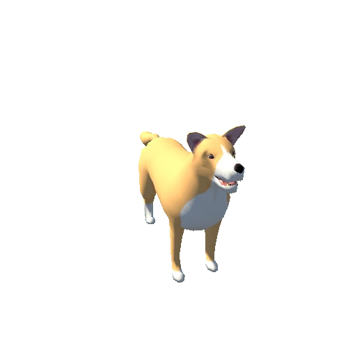 Playable White And Light Brown Dog